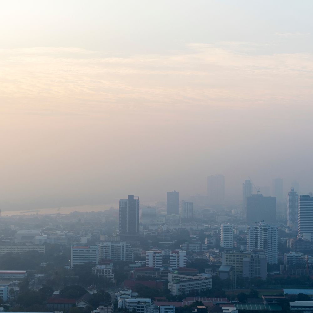 Choking on smog: Lahore shuts down schools as pollution soars to record highs