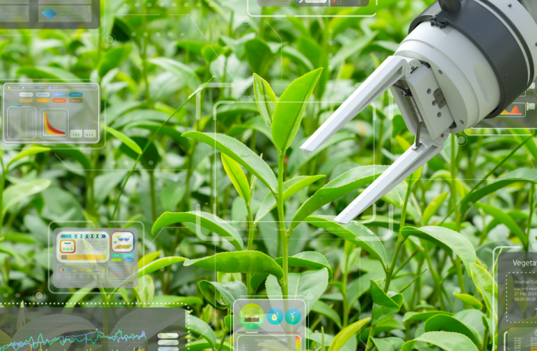 SwagBot: The AI-powered ranch hand revolutionizing agriculture