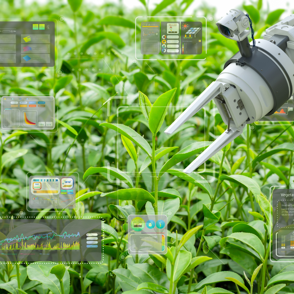 SwagBot The AI-powered ranch hand revolutionizing agriculture