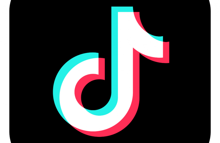 TikTok battles for survival: Supreme court to hear fate of app in US