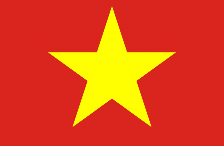 Vietnam suspends Temu operations over registration issues