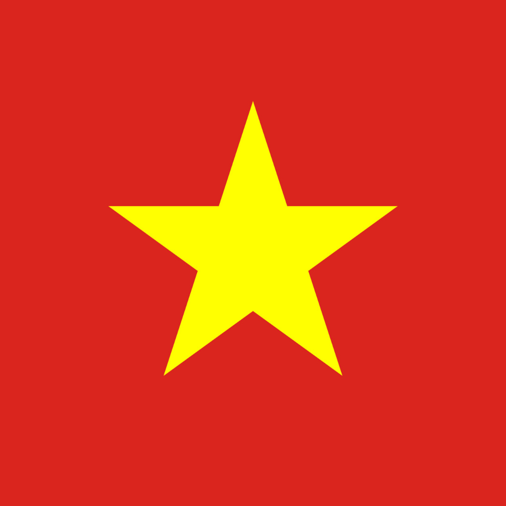 Vietnam suspends Temu operations over registration issues